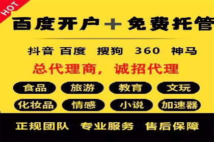 百度SEO推广策略案例：一家公司的成功转型之路